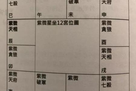 紫薇斗数命书测试