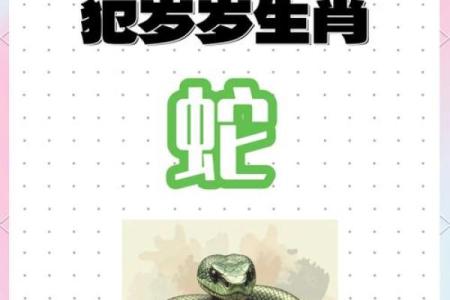 本命年注意什么事项风水要清楚