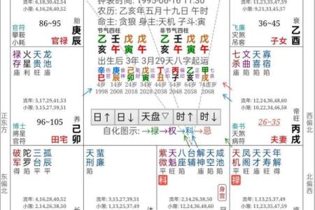 紫薇斗数断学历