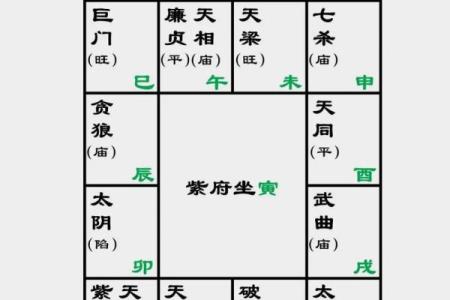 紫薇斗数运势曲线图