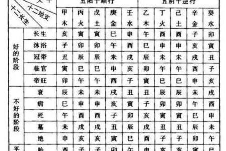 八字寅是什么意思,寅在八字中代表什么