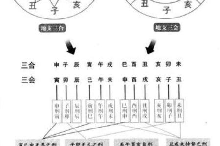 八字板如何用？八字命理应用技巧详解