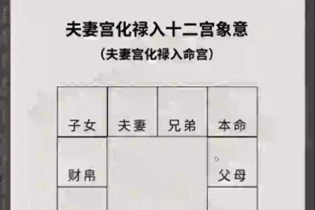 配偶本地外地紫薇斗数