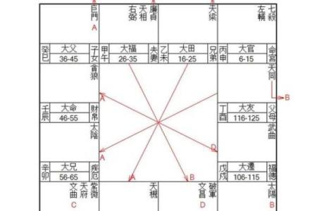 紫微斗数与八字