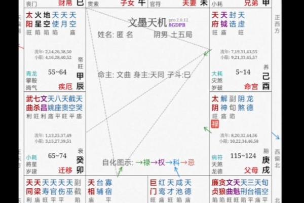 【紫微斗数】排盘技巧016:特殊格局的分析 【紫微斗数】排盘技巧016:特殊格局的分析