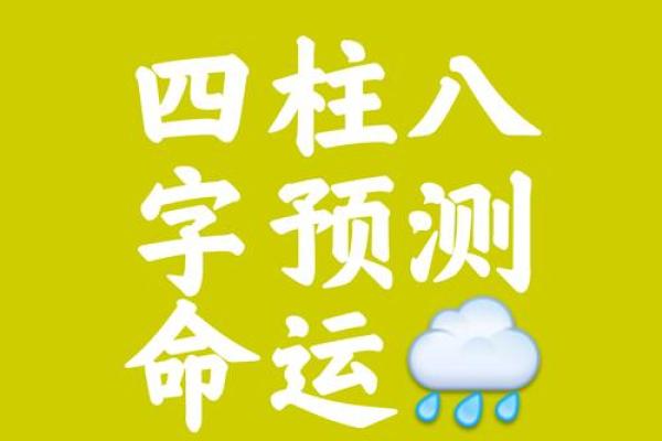 南方周易排八字 南方周易排八字APP