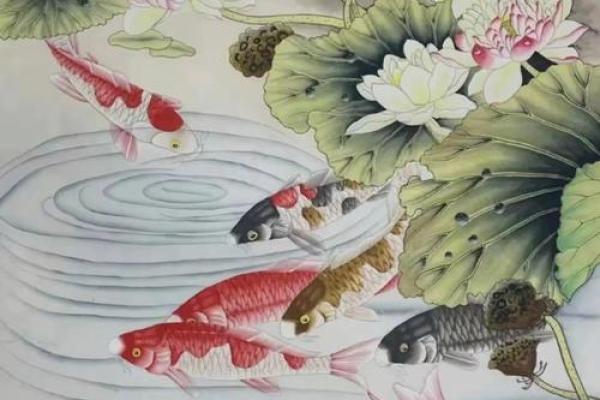锦鲤风水_锦鲤养13条是什么意思