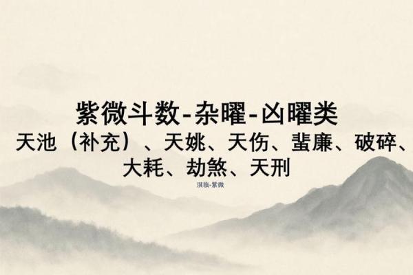 暗曜紫薇斗数