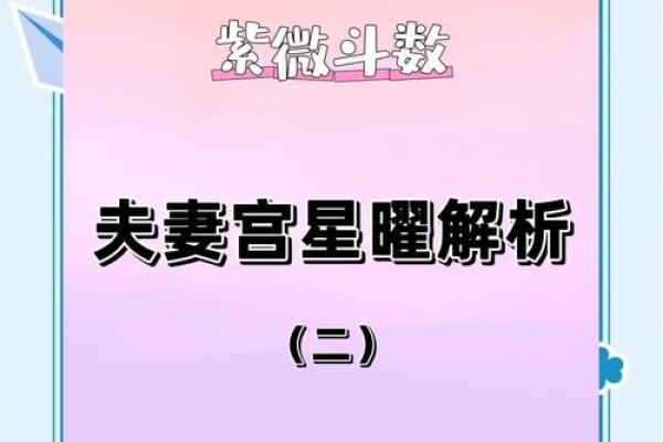 暗曜紫薇斗数