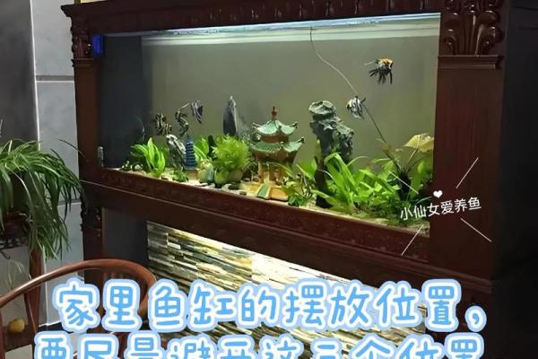 鱼缸在风水中的摆放