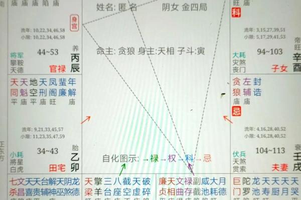 紫薇斗数怎么起运