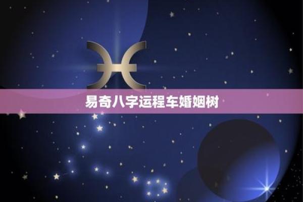 易奇八字算命婚姻树