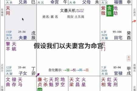 怎么理解紫薇斗数