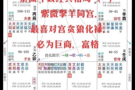 【紫微斗数】排盘技巧016：特殊格局的分析