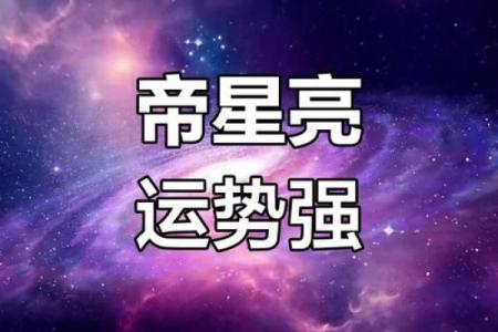 紫薇斗数国运