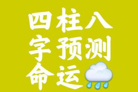南方周易排八字 南方周易排八字APP