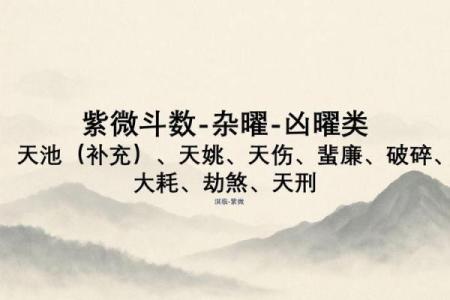 暗曜紫薇斗数