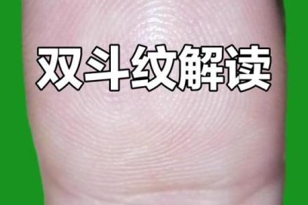 双雀纹与八字纹的区别是什么