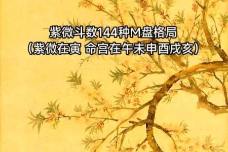 紫薇斗数在线摆盘