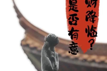 塔罗测试：最近三个月，哪方面的财路比较旺？