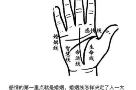 罕见的掌纹手相算命和图解