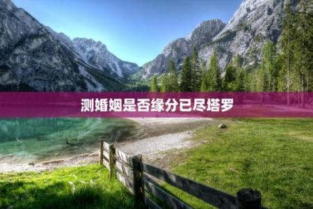 塔罗牌测试：婚姻多久会来