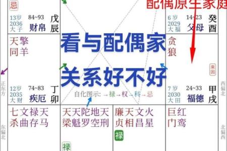 紫薇斗数父母宫情敌