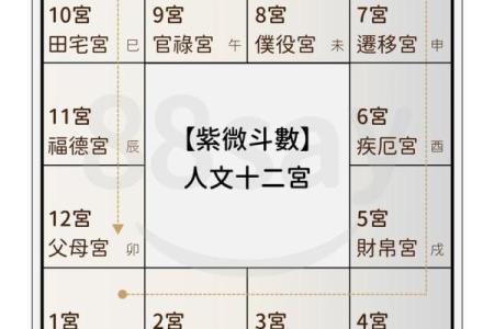 紫薇斗数没有紫薇