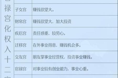 紫薇斗数华盖在官禄宫