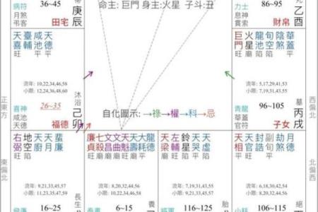 紫薇星辰斗数app