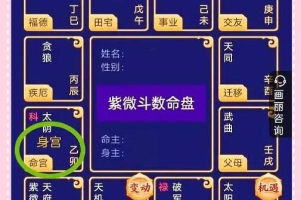 查紫薇斗数