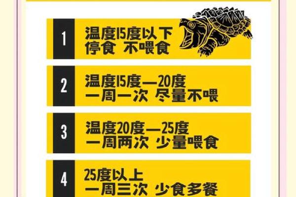 办公室养龟有什么风水说法讲究