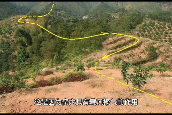 风水就是相地的意思，其基本原则就是“藏风聚水”
