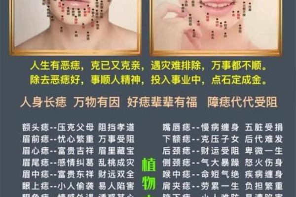 背上的痣图解算命