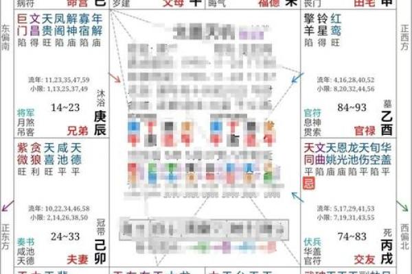 紫薇斗数分析推演的主要内容