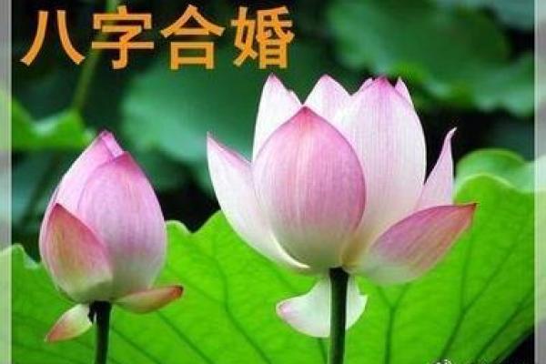 八字合婚1987