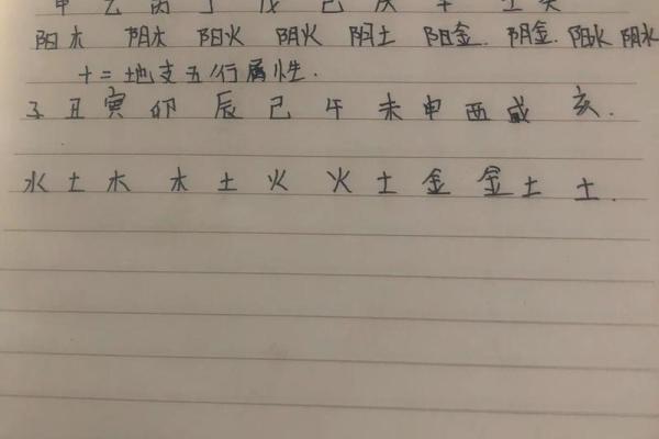属相怎么写,怎么看自己的生辰八字