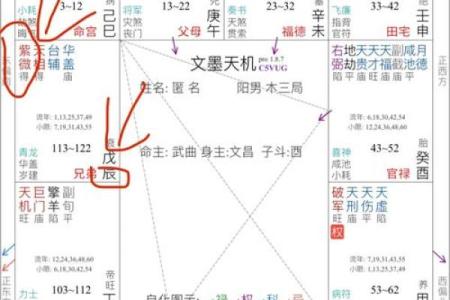 流年紫薇斗数怀孕