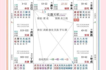 紫薇斗数七杀星