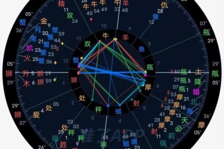 紫薇斗数与紫薇星盘