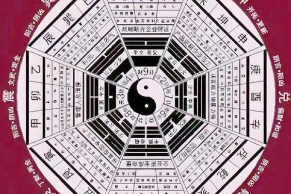 紫微斗数之诸星值限年运气推断：龙池入限运