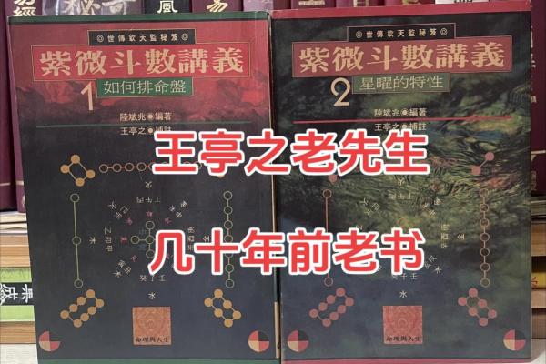 紫薇斗数入门更好的书