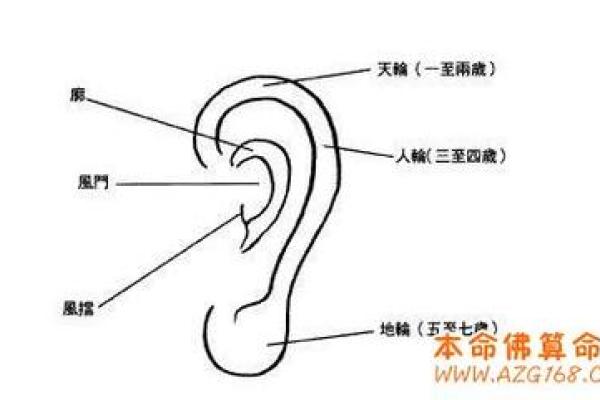 济缘算命：什么面相的男人容易长寿？