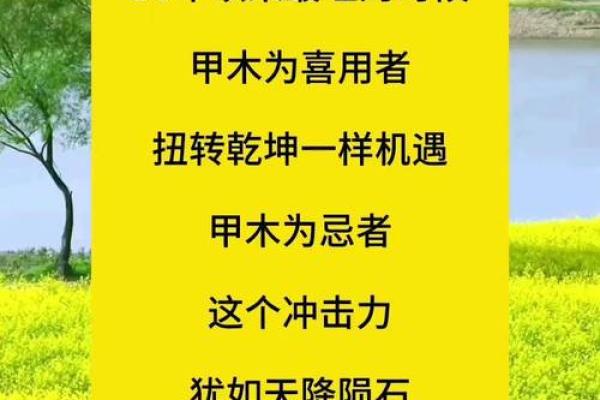 八字危机出炉什么意思,危机怎么解释