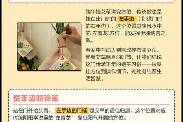 为什么艾草不能送人有什么风水说法