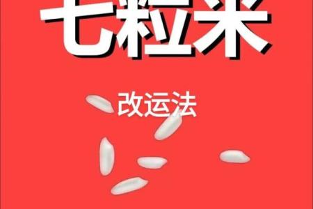 风水七粒米招财最灵的方法是什么意思