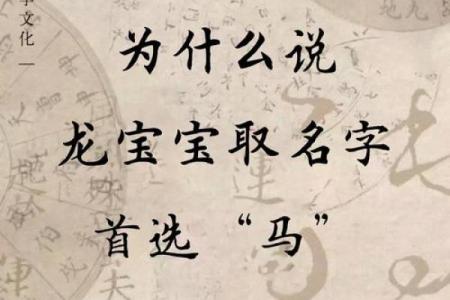 马宝宝八字