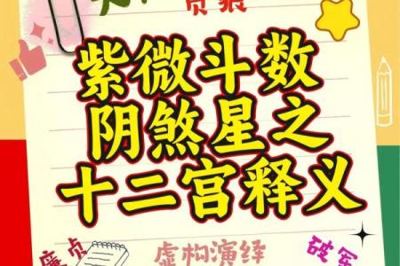 紫薇斗数吉星煞星