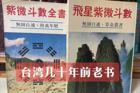 紫薇斗数入门更好的书