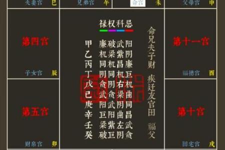 紫薇斗数定盘软件